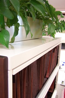 folders in file cabinet with plants